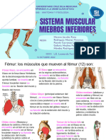 Presentacion Anatomia