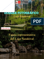 Dossier Fotográfico Revisado