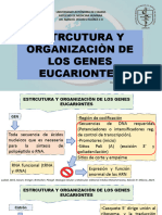 BCyM Parcial 2