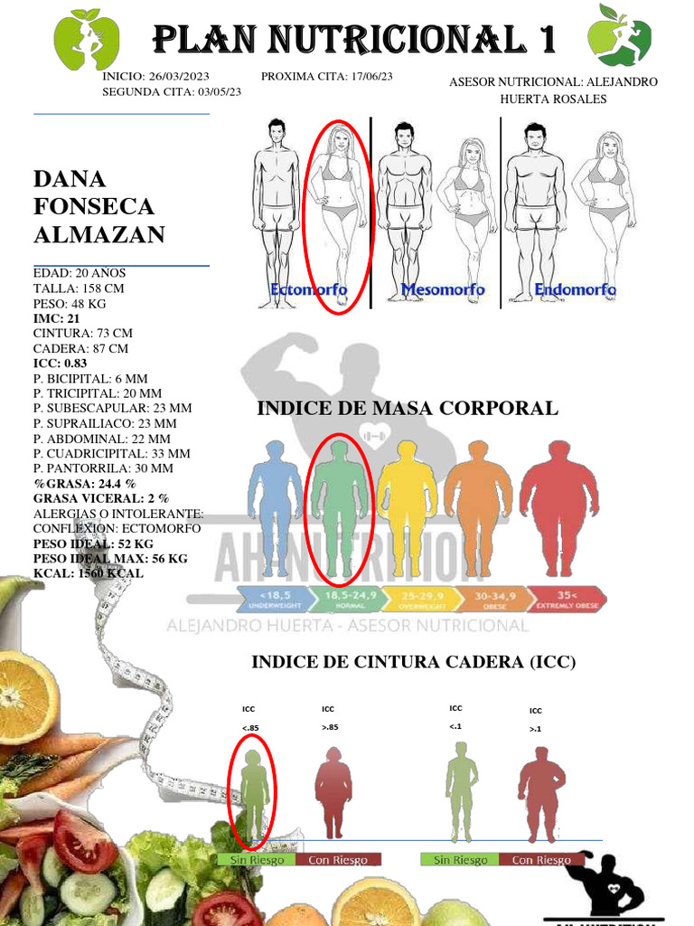 Plan Nutricional de Rashab Jael García | PDF | Obesidad | Índice de ...