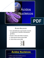 Acidos Nucleicos