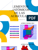 Configuración Anatómica de Las Aurículas