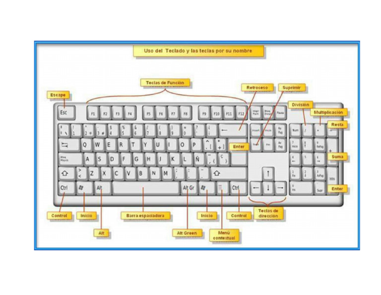 Ortho Sleep main image 0