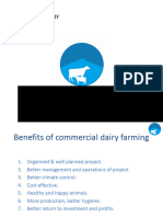 Commercial Dairy Farming By: Group