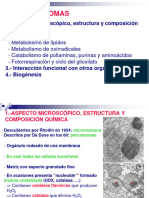 11.3 Peroxisomas 23-24