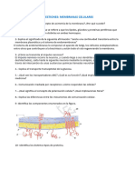 Ejercicios Tema 3 MP