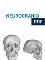 NEUROCRANIO