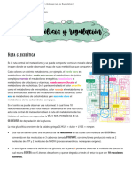 Copia de 3.glicólisis y Regulación