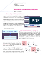 Copia de 05. Síntesis y Degradación Glucógeno