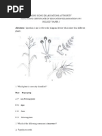 Paper 2 Biology 1995 Paper 2+ans