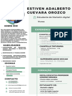 Curriculo Estiven Guevara Actualizado