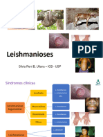 Leishmaniose - 2015 Endemias
