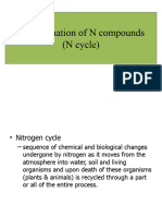 Transformation of N Compounds