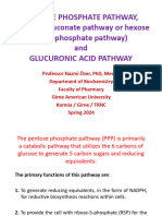 3-HMP and Glucuronic Acid Pathways