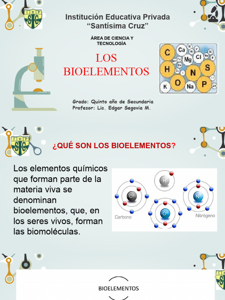 Importancia de Bioelementos y Biomoléculas | PDF | Biomoléculas ...
