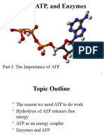 Lecture 8 ATPandEnzymes 2023v2