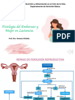 Fisiología Del Embarazo y Mujer en Lactancia (Autoguardado)