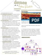 Clase 5. Desordenes de La Linea Blanca