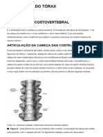 Anatomia Osteomioarticular Do Tórax