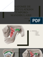 Anatomie de L'articulationn Temporo-Mandibulaire
