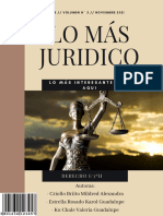 Revista Juridica
