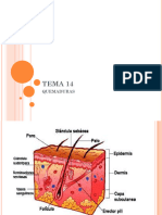 TEMA 14 Quemaduras