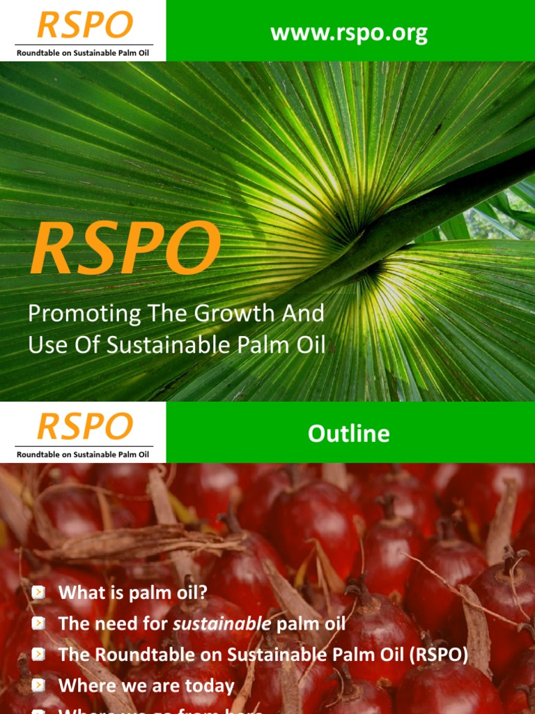 RSPO: Advancing Sustainable Palm Oil | PDF | Palm Oil | Sustainability