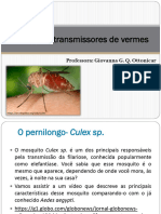 Aula 4 - Mosquitos Transmissores de Vermes