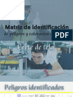 Matriz de Identificación