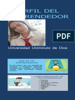 Infografia Perfil Del Emprendedor