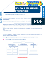 Describiendo A Un Animal para Tercer Grado de Primaria