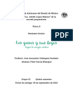 Resumen Técnico - Los Gases y Sus Leyes