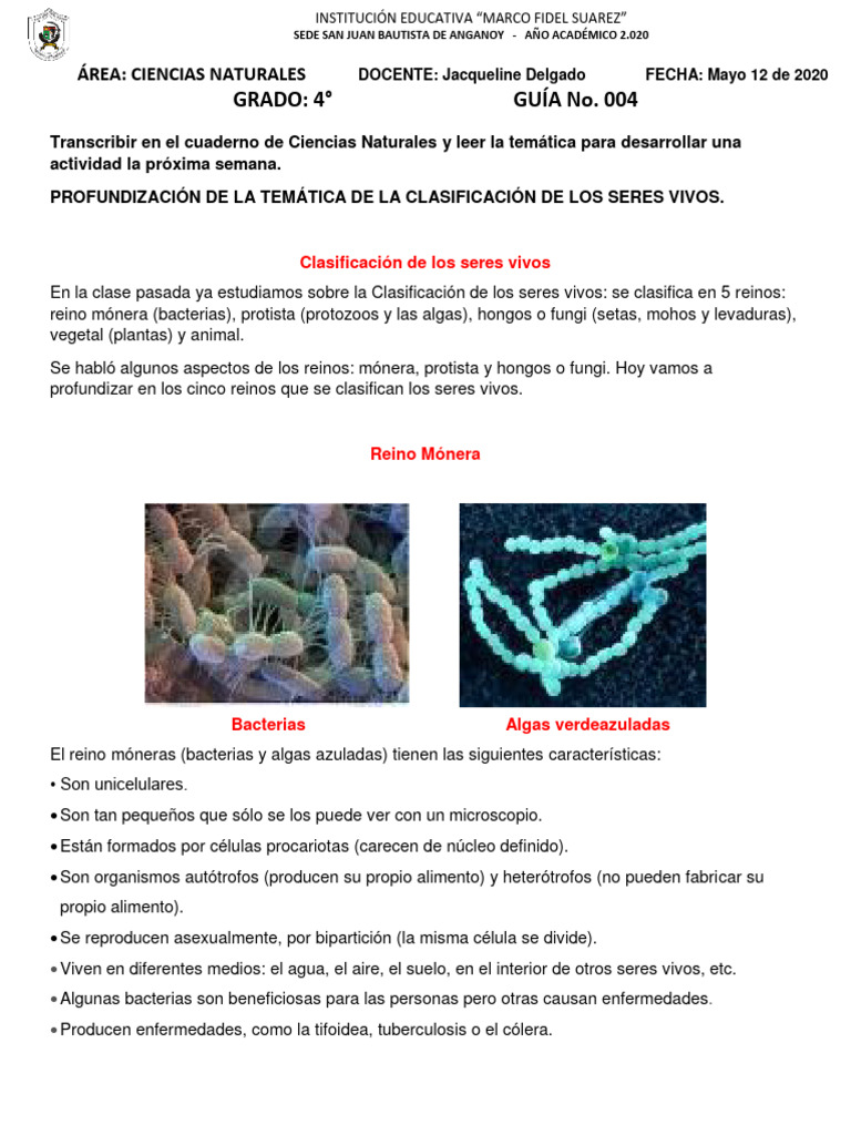 Clasificación de los Seres Vivos en 5 Reinos | PDF | Plantas | Algas