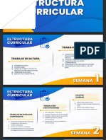 ESTRUCTURA CURRICULAR ALTO RIESGO - PDF - Google Drive