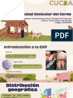 Enfermedad Vesicular Porcina