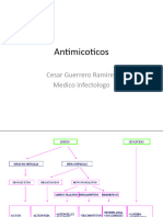 antimicoticos clase