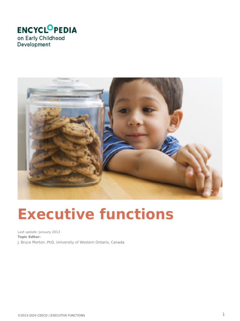 Executive Functions PDF Executive Functions Emotions