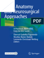 Brain Anatomy and Neurosurgical Approaches - A Practical, Illustrated, Easy-To-Use Guide 2023