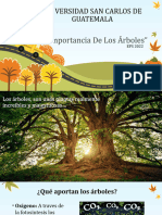 Exposición La Importancia de Los Arboles