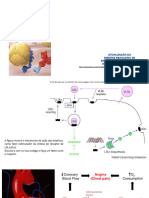 Aula6 Anticoagulantes