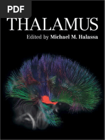 The Thalamus 2022