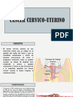 1cancer Cervicouterinoy Citologia Cervical - Yga