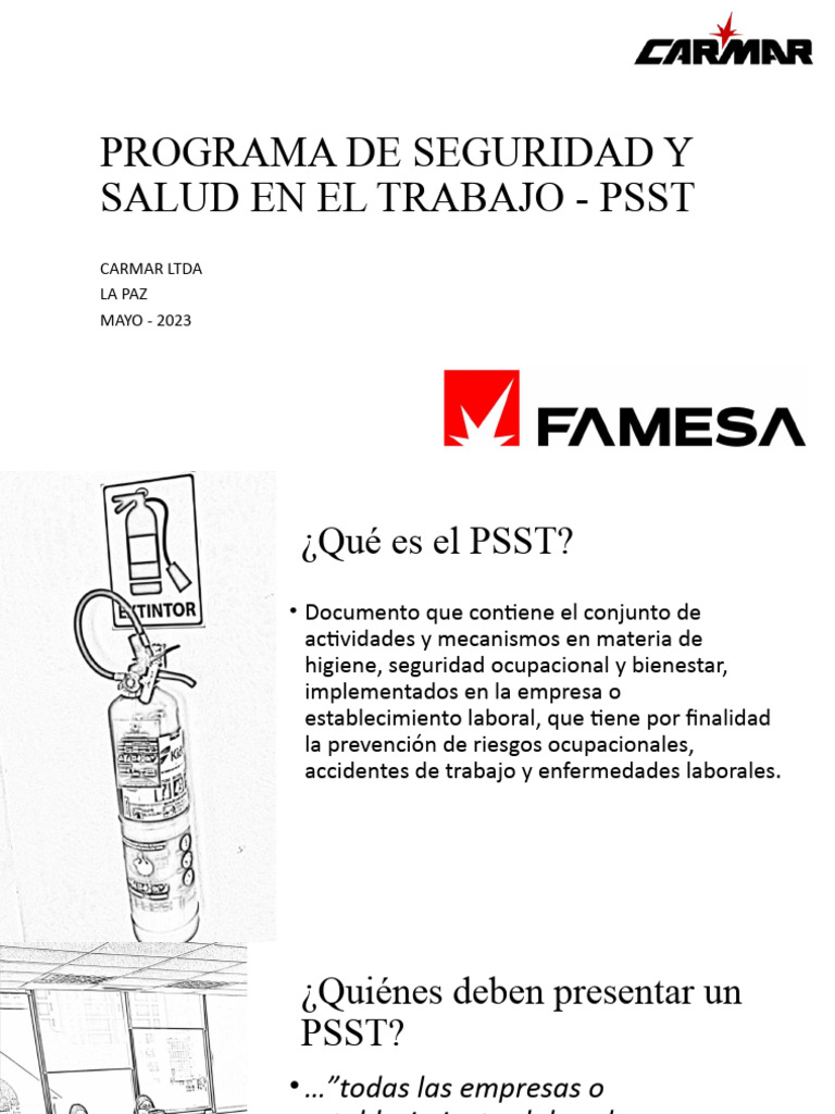 Programa de Seguridad y Salud en El Trabajo | PDF | Seguridad y salud ...
