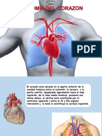 1ra Anatomia y Fisiologia