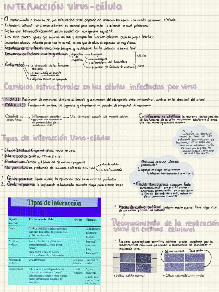 Good notes pdf