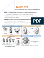 Estática Fetal y Maniobras de Leopold