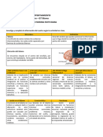 S11.s1 - Ejercicio Práctico Función Sensitiva Motora - El Tálamo