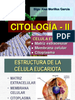 Citologia II