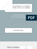 Anatomia y Biomecanica de Cadera