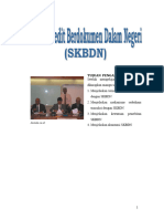 SKBDN